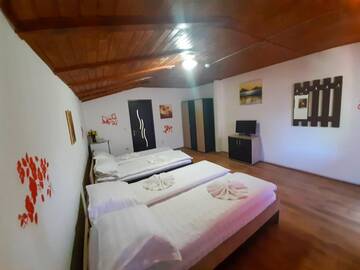Фотографии Отель Pensiunea Casa Ecologica г. Бэиле-Еркулане (Румыния) №4 Фото Отель Pensiunea Casa Ecologica г. Бэиле-Еркулане 4