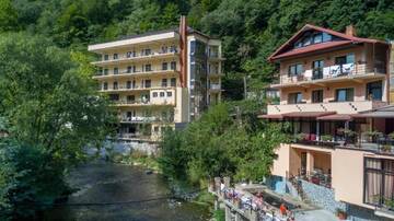 Фотографии Отель Hotel Holiday Maria г. Бэиле-Еркулане (Румыния) №2 Фото Отель Hotel Holiday Maria г. Бэиле-Еркулане 2