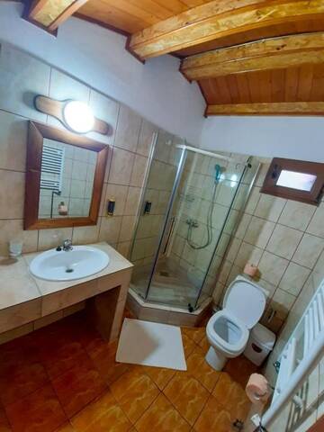 Фото номера Апартаменты с балконом Отель Pensiunea Casa Ecologica г. Бэиле-Еркулане 3
