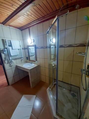 Фото номера Двухместный номер с 1 кроватью и террасой Отель Pensiunea Casa Ecologica г. Бэиле-Еркулане 3
