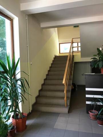 Фото Гостевой дом Pinul Negru г. Бэиле-Еркулане 5